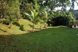 Ewart Park (D10), Detached #624512981